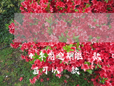 4年前逾期能貸款嗎(四年前征信有逾期四年后可以貸款嗎?)