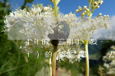 4年的車逾期年檢要開車去嗎(4年內(nèi)的車年檢要開車去嗎)