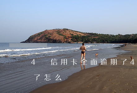 4張信用卡全面逾期了(4張信用卡全面逾期了怎么樣)