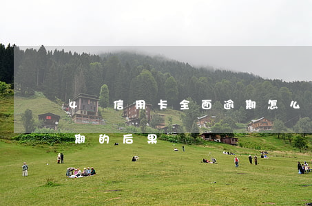4張信用卡全面逾期怎么辦(10張信用卡逾期的后果)