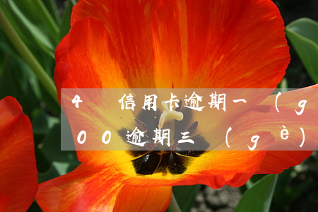 4張信用卡逾期一個(gè)月 信用卡4000逾期三個(gè)月