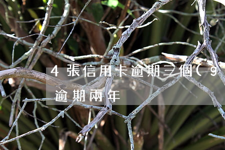 4張信用卡逾期三個(gè)月(信用卡3千逾期兩年)