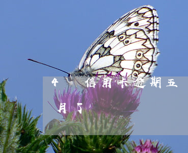 4張信用卡逾期五個月(4張信用卡逾期五個月了)