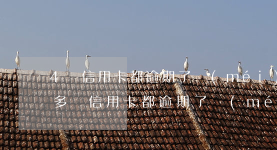 4張信用卡都逾期了沒(méi)有錢還(好多張信用卡都逾期了沒(méi)有能力還怎么辦)