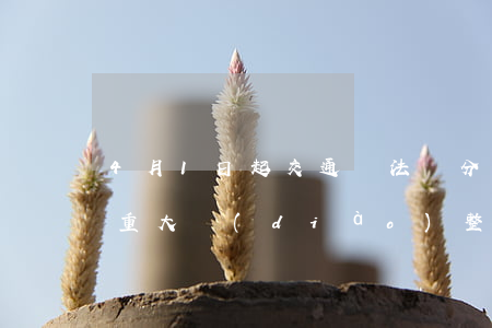 4月1日起，交通違法記分規(guī)則有重大調(diào)整！