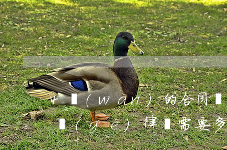 4萬(wàn)的合同糾紛請(qǐng)個(gè)律師需要多少錢(qián)