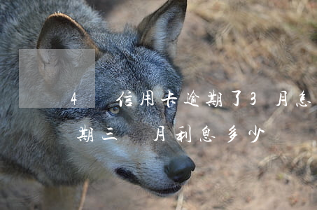 4萬信用卡逾期了3月怎么辦(信用卡4千逾期三個月利息多少)