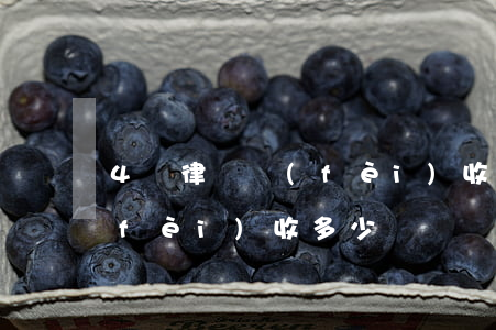 4萬律師費(fèi)收多少(4萬律師費(fèi)收多少)