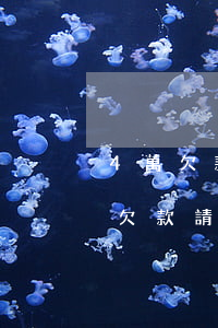 4萬欠款律師費(fèi)用是多少(五萬元欠款請律師要多少錢)