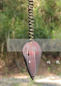 4萬的款付律師費(fèi)多少(四萬元律師費(fèi)用多少)
