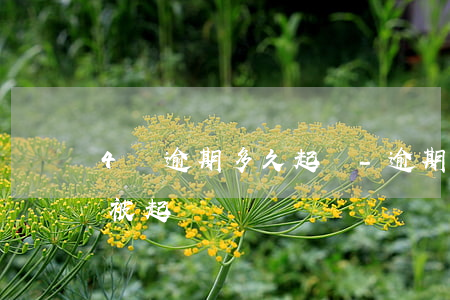 4萬逾期多久起訴-逾期四天會(huì)被起訴嗎