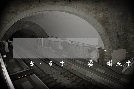 5.6十歲還要離婚(五十歲女人離婚好嗎)
