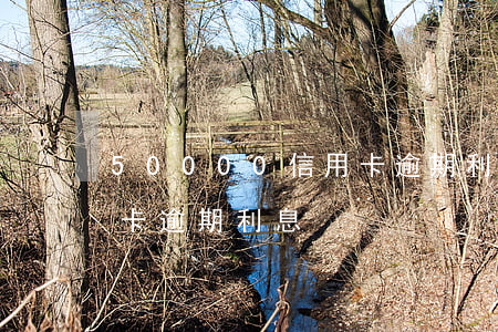50000信用卡逾期利息(50000信用卡逾期利息)