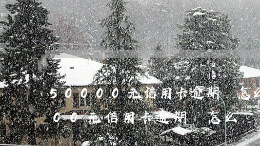 50000元信用卡逾期會怎么樣-50000元信用卡逾期會怎么樣嗎