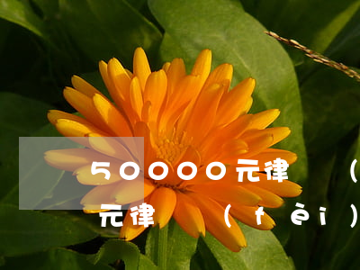 50000元律師費(fèi)多少錢(五萬元律師費(fèi)是多少錢)
