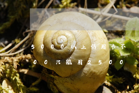 5000以上信用卡不還(為什么信用卡5000只能用2500)
