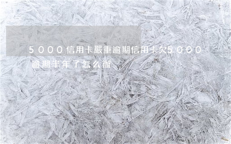 5000信用卡嚴重逾期(信用卡欠5000逾期半年了怎么辦)