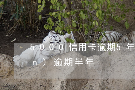 5000信用卡逾期5年 信用卡5萬(wàn)逾期半年