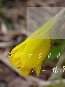 5000信用卡逾期一天多少錢(qián)-信用卡5000逾期一個(gè)月