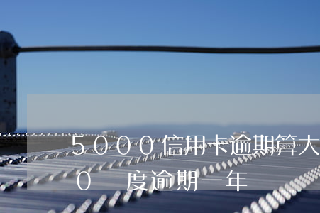 5000信用卡逾期算大額嘛(信用卡5000額度逾期一年)