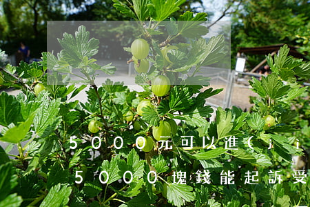 5000元可以進(jìn)行小額訴訟嗎(5000塊錢能起訴受理嗎)