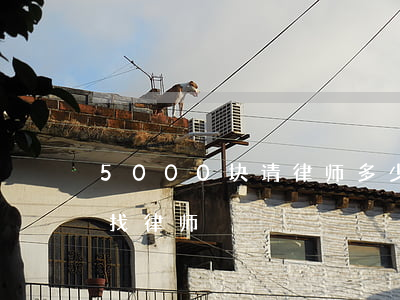 5000块请律师多少钱(5000块钱值得找律师)