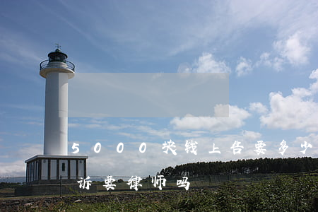 5000块钱上告要多少律师费(五千块钱起诉要律师吗)