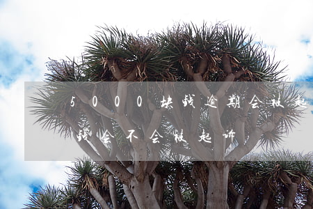 5000块钱逾期会被起诉么-逾期五百块钱会不会被起诉