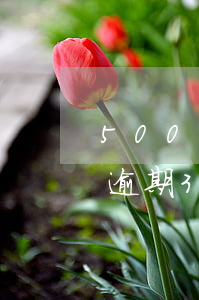 5000塊信用卡逾期-信用卡5000元逾期3年