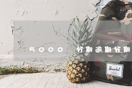 5000塊分期逾期(分期逾期五百多塊錢)