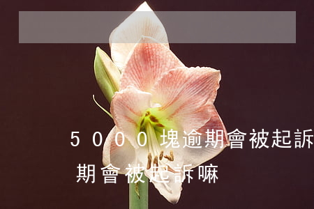 5000塊逾期會被起訴嘛-5000塊逾期會被起訴嘛