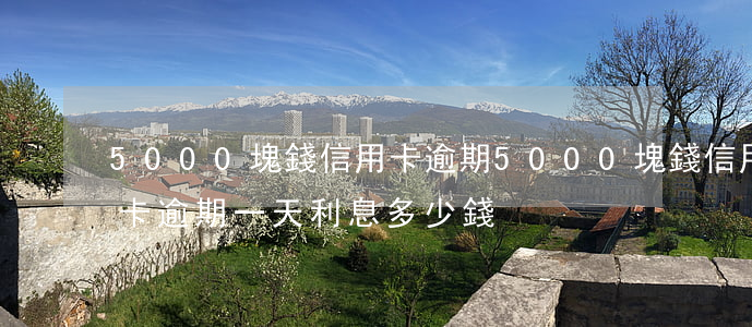 5000塊錢信用卡逾期(5000塊錢信用卡逾期一天利息多少錢)