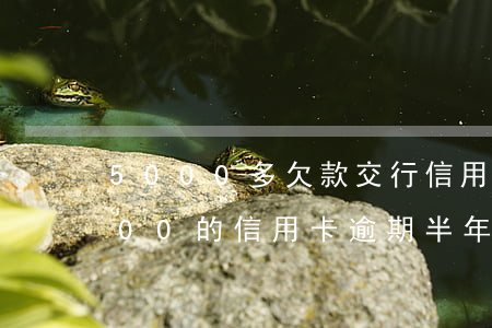 5000多欠款交行信用卡逾期-交行5000的信用卡逾期半年要还多少钱