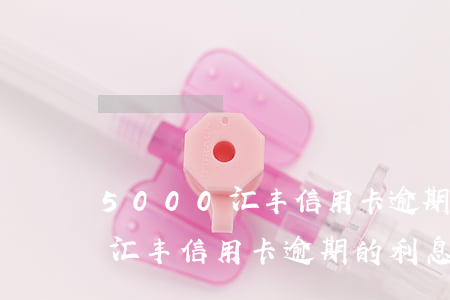 5000汇丰信用卡逾期的利息-5000汇丰信用卡逾期的利息怎么算