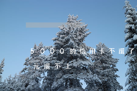 5000的信用卡不還了(信用卡欠5000元還不上)