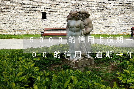 5000的信用卡逾期一年要还多少-5000的信用卡逾期一年要还多少利息