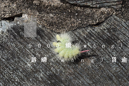 5000網(wǎng)貸逾期多久會被起訴(網(wǎng)貸逾期1500會被起訴嗎)
