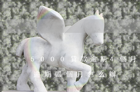 5000貸款逾期4個月(欠信用卡5000逾期四個月怎么辦)