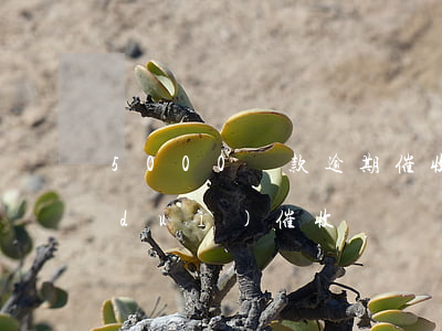 5000貸款逾期催收(貸款逾期如何面對(duì)催收)