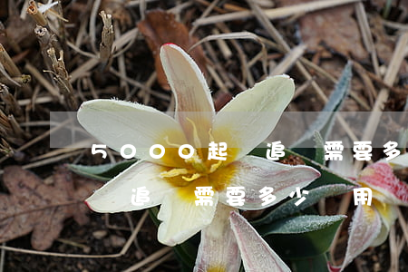 5000起訴追債需要多少費用(5000起訴追債需要多少費用)