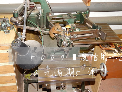5000額度信用卡逾期1年(信用卡1000元逾期5年)