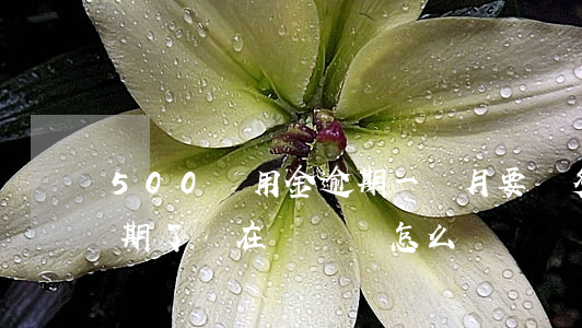 500備用金逾期一個月要還多少-如果逾期了實在沒錢還怎么辦