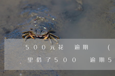 500元花唄逾期兩個(gè)月(我在花唄里借了500塊逾期5天有沒有影響)