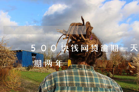 500块钱网贷逾期一天(网贷5000元逾期两年)