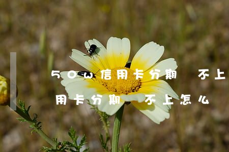 50w信用卡分期還不上怎么辦-50w信用卡分期還不上怎么辦呢