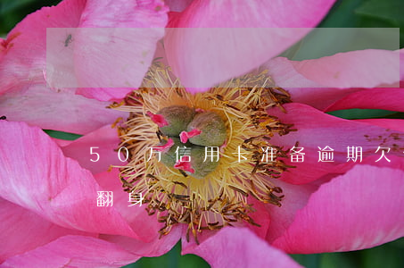 50万信用卡准备逾期(欠信用卡五十万怎么翻身)