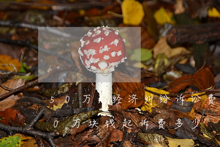 50万元经济纠纷诉讼费多少钱(经济纠纷30万块钱起诉费多少)