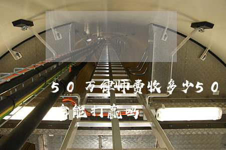 50万律师费收多少(50万律师费收多少一定能打赢吗)