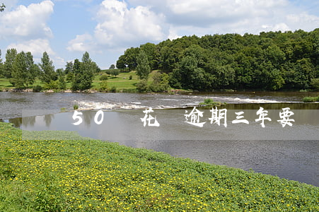 50塊花唄逾期三年要還多少錢-