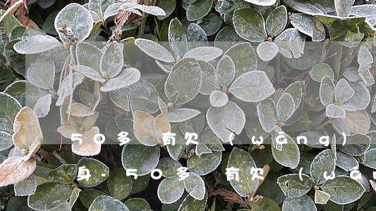 50多歲有欠網(wǎng)貸的嗎怎么翻身-50多歲有欠網(wǎng)貸的嗎怎么翻身還款